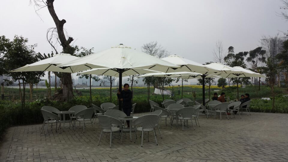 清水（shuǐ）河畔傘