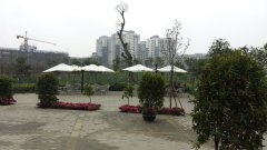 大理石中柱四葉傘